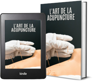 Acupuncture - Illustration des points et techniques